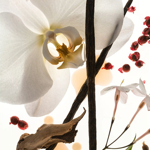 Vanilla Skin - Body Oil